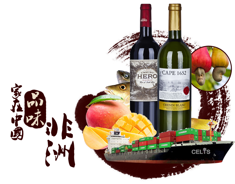家在中国 品味非洲